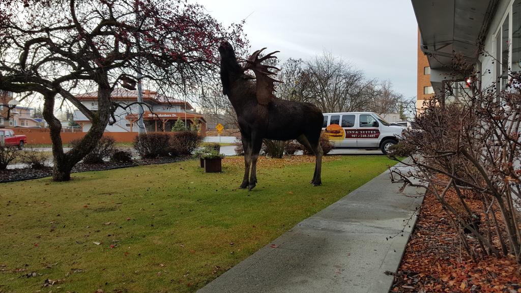 Lakeshore Inn & Suites Anchorage Bagian luar foto