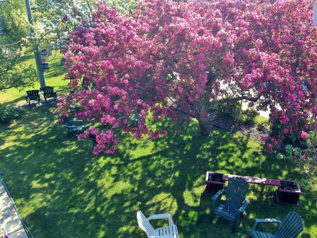 Lakeshore Inn & Suites Anchorage Bagian luar foto