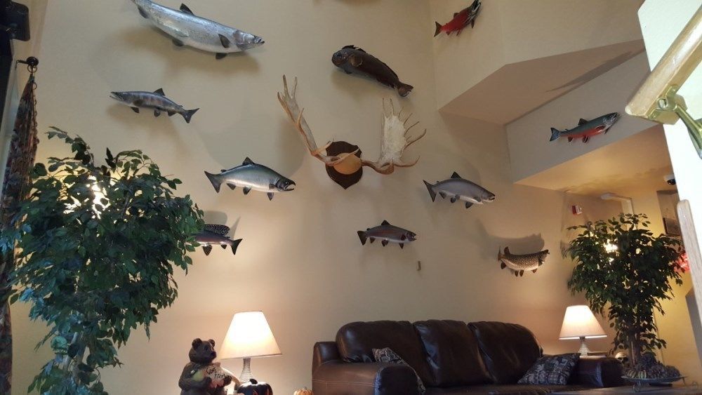 Lakeshore Inn & Suites Anchorage Bagian luar foto